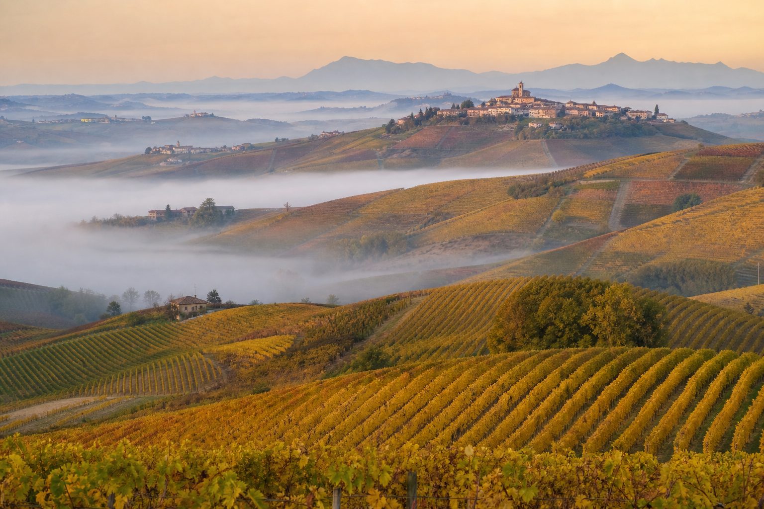 Vigneti autunnali delle Langhe con la nebbia nei fondovalle e un borgo sul crinale all'alba
